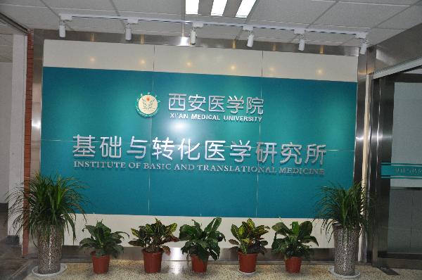 形象墙 形象墙